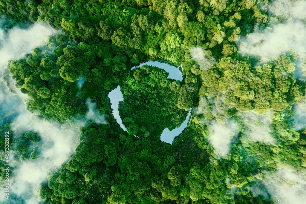 Ergochair and Sustainability
